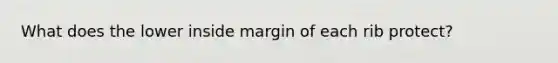 What does the lower inside margin of each rib protect?