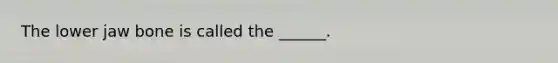 The lower jaw bone is called the ______.