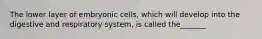 The lower layer of embryonic cells, which will develop into the digestive and respiratory system, is called the_______