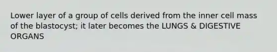 Lower layer of a group of cells derived from the inner cell mass of the blastocyst; it later becomes the LUNGS & DIGESTIVE ORGANS