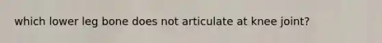 which lower leg bone does not articulate at knee joint?