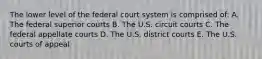 The lower level of the federal court system is comprised of: A. The federal superior courts B. The U.S. circuit courts C. The federal appellate courts D. The U.S. district courts E. The U.S. courts of appeal