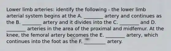 Lower limb arteries: identify the following - the lower limb arterial system begins at the A. ________ artery and continues as the B. ________ artery and it divides into the C. ________ and D. ________ arteries in the area of the proximal and midfemur. At the knee, the femoral artery becomes the E. ________ artery, which continues into the foot as the F. _________ artery.