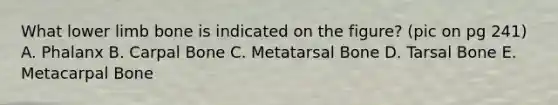 What lower limb bone is indicated on the figure? (pic on pg 241) A. Phalanx B. Carpal Bone C. Metatarsal Bone D. Tarsal Bone E. Metacarpal Bone