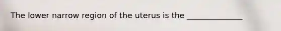 The lower narrow region of the uterus is the ______________