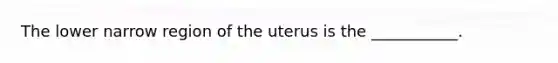 The lower narrow region of the uterus is the ___________.