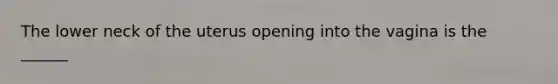 The lower neck of the uterus opening into the vagina is the ______