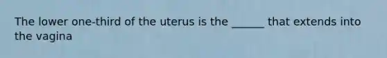 The lower one-third of the uterus is the ______ that extends into the vagina