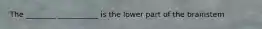 The ________ ___________ is the lower part of the brainstem