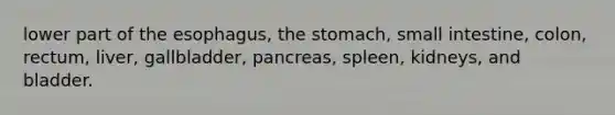 lower part of the esophagus, the stomach, small intestine, colon, rectum, liver, gallbladder, pancreas, spleen, kidneys, and bladder.