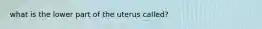 what is the lower part of the uterus called?