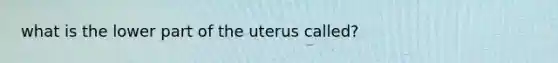 what is the lower part of the uterus called?