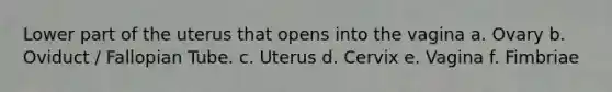 Lower part of the uterus that opens into the vagina a. Ovary b. Oviduct / Fallopian Tube. c. Uterus d. Cervix e. Vagina f. Fimbriae