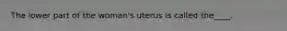 The lower part of the woman's uterus is called the____.