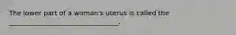 The lower part of a woman's uterus is called the _________________________________.