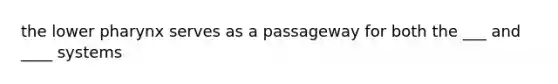 the lower pharynx serves as a passageway for both the ___ and ____ systems