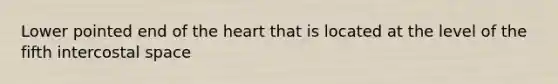 Lower pointed end of the heart that is located at the level of the fifth intercostal space