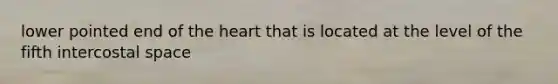 lower pointed end of the heart that is located at the level of the fifth intercostal space