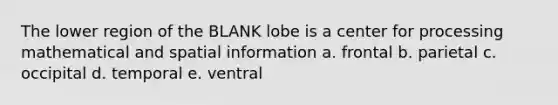 The lower region of the BLANK lobe is a center for processing mathematical and spatial information a. frontal b. parietal c. occipital d. temporal e. ventral