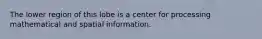 The lower region of this lobe is a center for processing mathematical and spatial information.