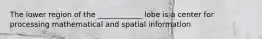 The lower region of the ____________ lobe is a center for processing mathematical and spatial information