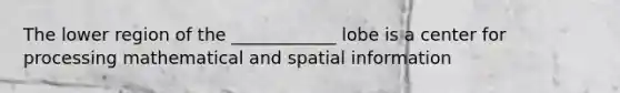 The lower region of the ____________ lobe is a center for processing mathematical and spatial information