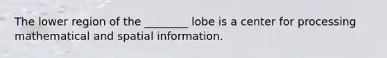 The lower region of the ________ lobe is a center for processing mathematical and spatial information.