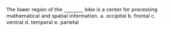 The lower region of the ________ lobe is a center for processing mathematical and spatial information. a. occipital b. frontal c. ventral d. temporal e. parietal