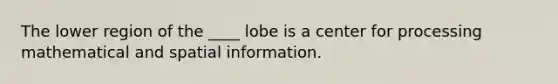 The lower region of the ____ lobe is a center for processing mathematical and spatial information.