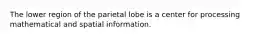 The lower region of the parietal lobe is a center for processing mathematical and spatial information.