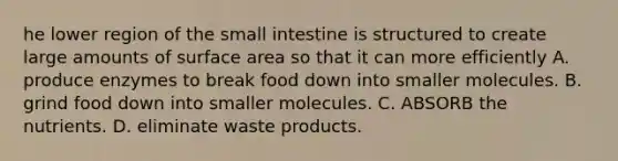 he lower region of the small intestine is structured to create large amounts of <a href='https://www.questionai.com/knowledge/kEtsSAPENL-surface-area' class='anchor-knowledge'>surface area</a> so that it can more efficiently A. produce enzymes to break food down into smaller molecules. B. grind food down into smaller molecules. C. ABSORB the nutrients. D. eliminate waste products.