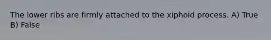 The lower ribs are firmly attached to the xiphoid process. A) True B) False