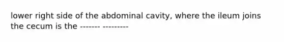 lower right side of the abdominal cavity, where the ileum joins the cecum is the ------- ---------