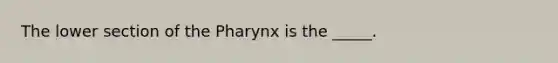 The lower section of the Pharynx is the _____.