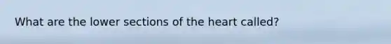 What are the lower sections of the heart called?