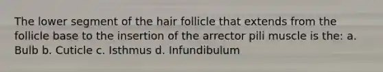 The lower segment of the hair follicle that extends from the follicle base to the insertion of the arrector pili muscle is the: a. Bulb b. Cuticle c. Isthmus d. Infundibulum