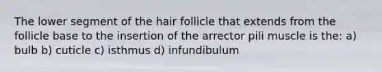 The lower segment of the hair follicle that extends from the follicle base to the insertion of the arrector pili muscle is the: a) bulb b) cuticle c) isthmus d) infundibulum