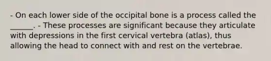 - On each lower side of the occipital bone is a process called the ______. - These processes are significant because they articulate with depressions in the first cervical vertebra (atlas), thus allowing the head to connect with and rest on the vertebrae.