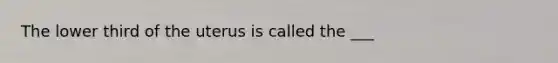 The lower third of the uterus is called the ___