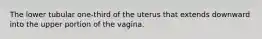 The lower tubular one-third of the uterus that extends downward into the upper portion of the vagina.