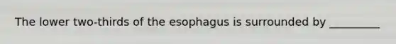 The lower two-thirds of the esophagus is surrounded by _________