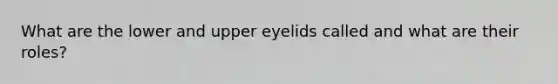 What are the lower and upper eyelids called and what are their roles?