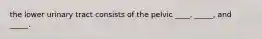 the lower urinary tract consists of the pelvic ____, _____, and _____.