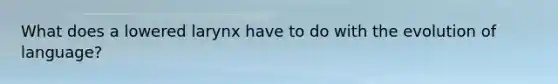 What does a lowered larynx have to do with the evolution of language?