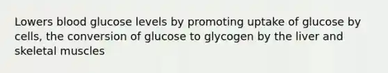 Lowers blood glucose levels by promoting uptake of glucose by cells, the conversion of glucose to glycogen by the liver and skeletal muscles