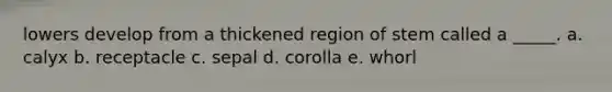 lowers develop from a thickened region of stem called a _____. a. calyx b. receptacle c. sepal d. corolla e. whorl