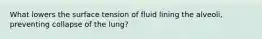 What lowers the surface tension of fluid lining the alveoli, preventing collapse of the lung?