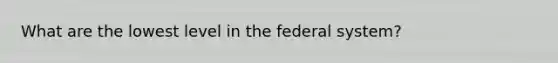 What are the lowest level in the federal system?