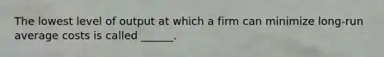 The lowest level of output at which a firm can minimize long-run average costs is called ______.