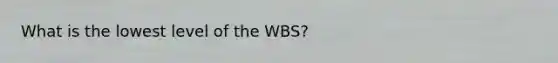 What is the lowest level of the WBS?